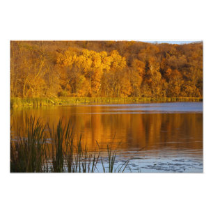 Autumn colours in Maplewood State Park near Photo Print