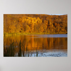 Autumn colours in Maplewood State Park near Poster