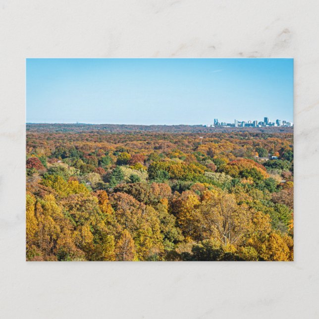 Autumn Colours in Reston Virginia Postcard (Front)