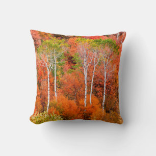 Autumn Colours In Rocky Mountains, Wyoming, USA Cushion