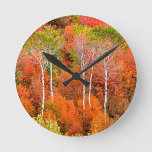 Autumn Colours In Rocky Mountains, Wyoming, USA Round Clock