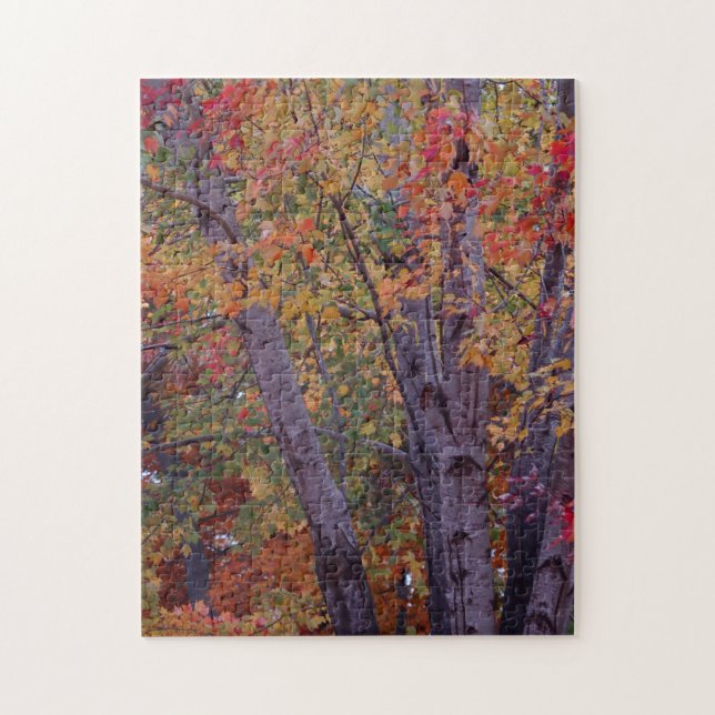 Autumn Colours Jigsaw Puzzle (Vertical)