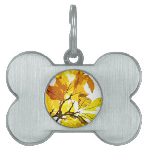 Autumn colours, leaves pet ID tag