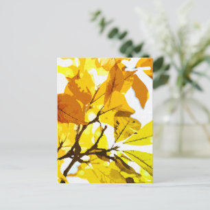 Autumn colours, leaves postcard