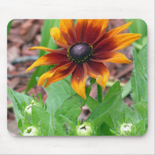 Autumn Colours Mouse Pad