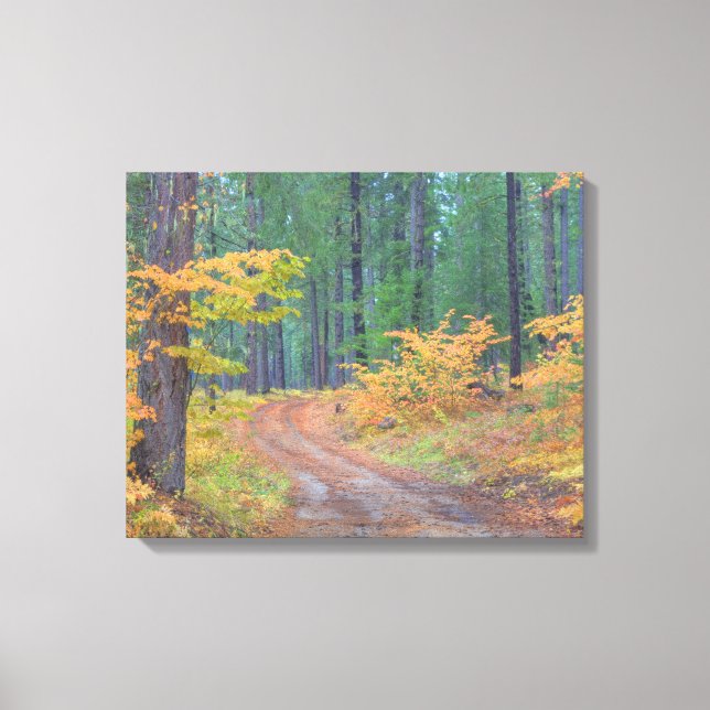 Autumn colours of forests in The Cascade 2 Canvas Print (Front)