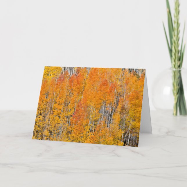 Autumn Colours on Aspen Groves Card (Front)