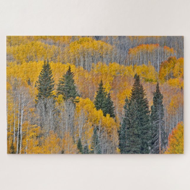 Autumn Colours on Aspen Groves Jigsaw Puzzle (Horizontal)