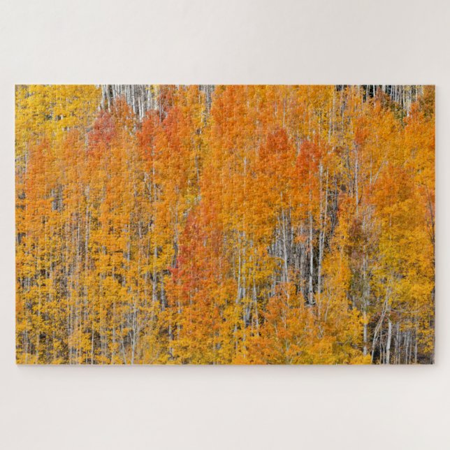 Autumn Colours on Aspen Groves Jigsaw Puzzle (Horizontal)