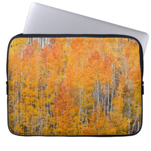 Autumn Colours on Aspen Groves Laptop Sleeve