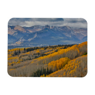 Autumn Colours on Aspen Groves Magnet