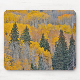 Autumn Colours on Aspen Groves Mouse Pad