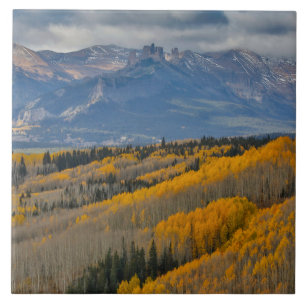 Autumn Colours on Aspen Groves Tile