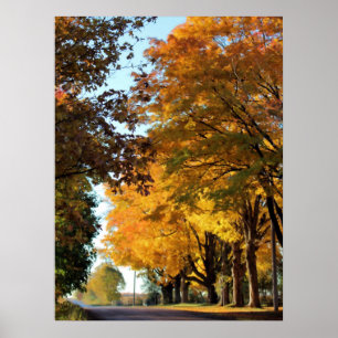 Autumn Colours on Country Road Poster
