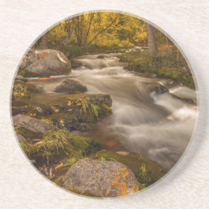 Autumn colours on Crestone Creek Coaster