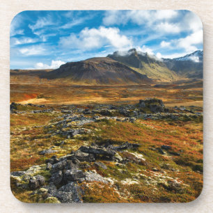 Autumn colours on the landscape coaster
