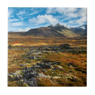 Autumn colours on the landscape tile