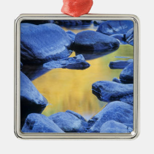Autumn colours reflected in a wading pool, metal tree decoration