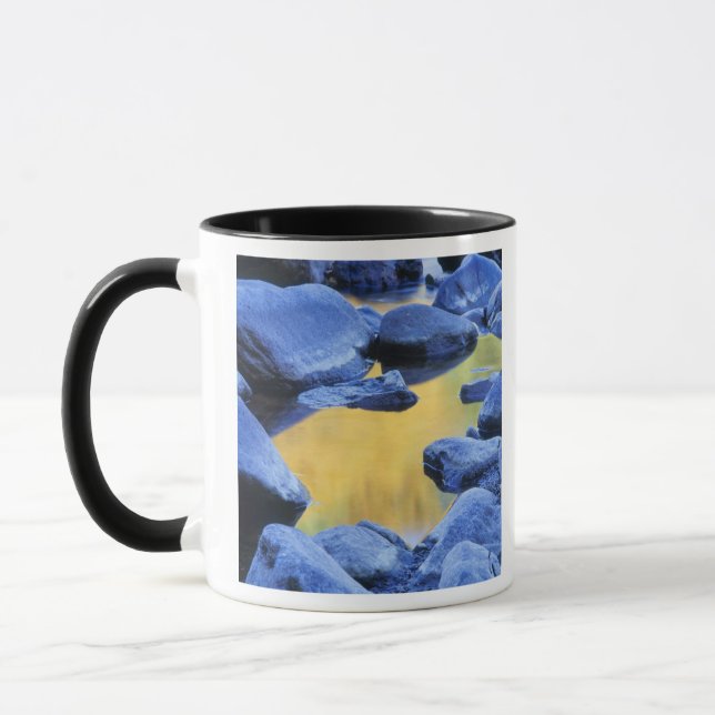 Autumn colours reflected in a wading pool, mug (Left)