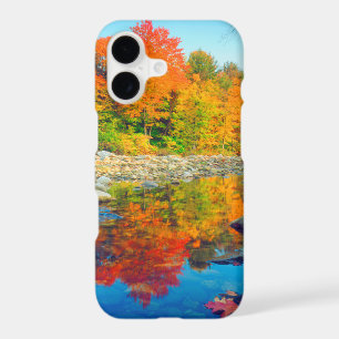 Autumn Colours reflecting in a stream in Vermont