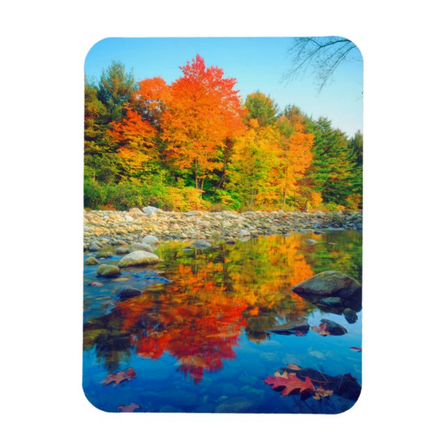 Autumn Colours reflecting in a stream in Vermont Magnet (Vertical)