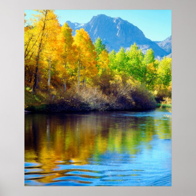 Autumn colours reflecting in Rush Creek Poster (Front)