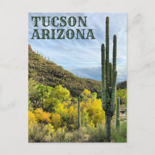 Autumn Colours Saguaro Sabino Canyon Postcard