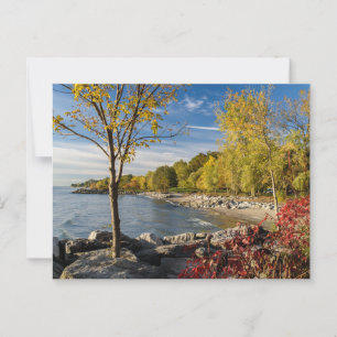 Autumn Colours, Shore of Lake Ontario, Canada Postcard