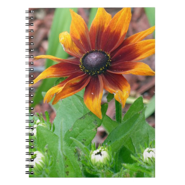 Autumn Colours Spiral Notebook (Front)