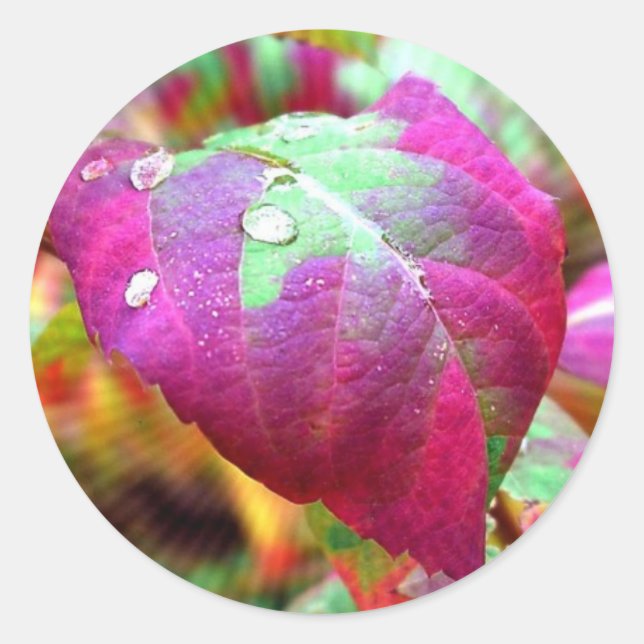 Autumn Colours Sticker (Front)