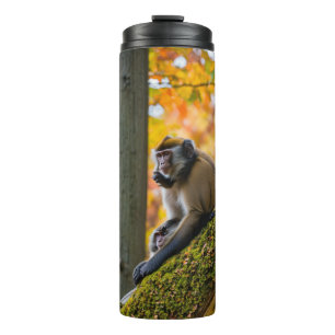 Autumn Curiosity: Monkeys at the Zoo in Fall Thermal Tumbler