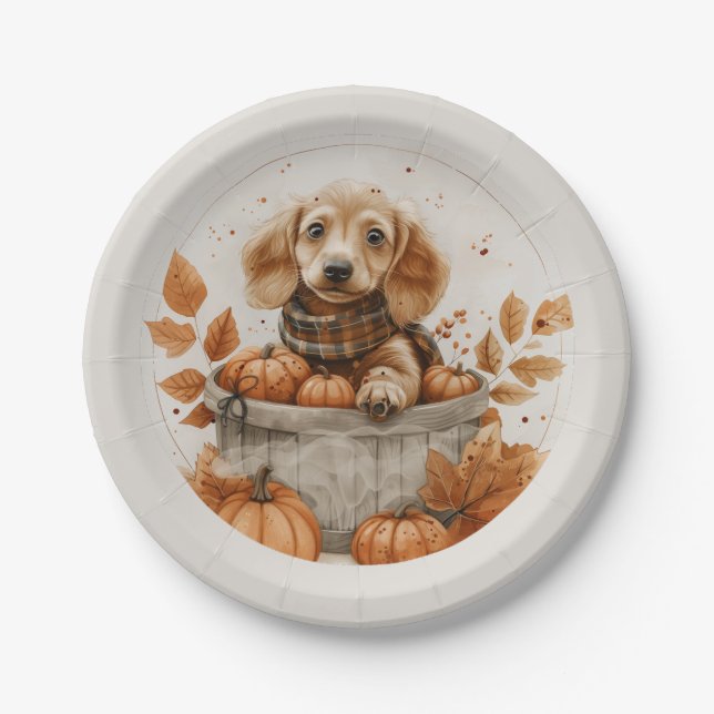 Autumn Dachshund Dogs Pumpkin Paper Plate (Front)