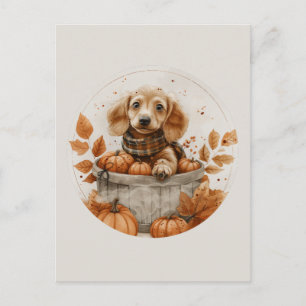 Autumn Dachshund Dogs Pumpkin Postcard