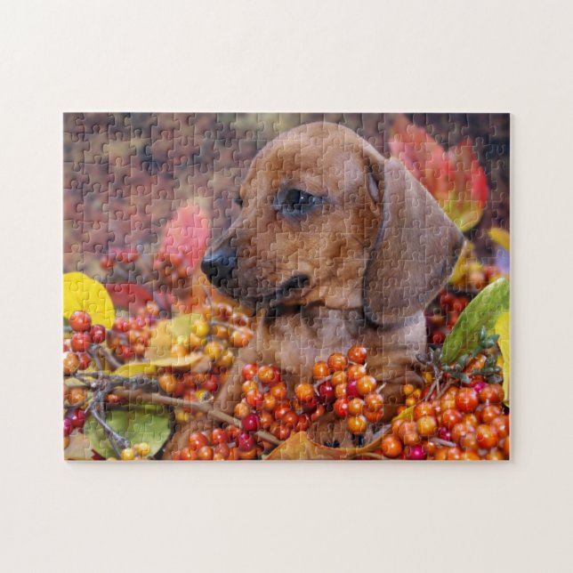 Autumn Dachshund Puppy Jigsaw Puzzle (Horizontal)