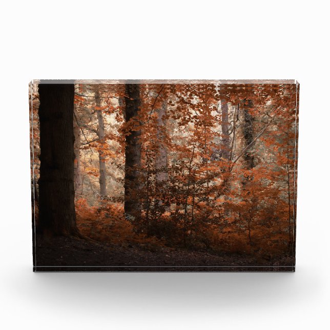 Autumn Dawn Photo Block (Front)