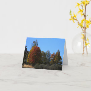 Autumn day in the country..... card