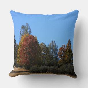 Autumn day in the country...... cushion