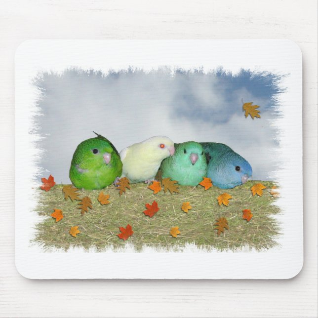 Autumn day mouse pad (Front)