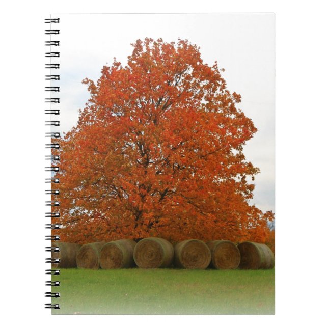 Autumn Day Notebook (Front)