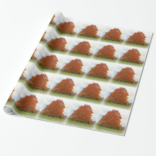 Autumn Day Wrapping Paper