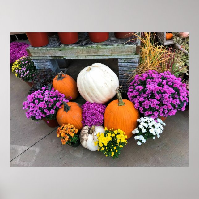 Autumn Decor (Front)