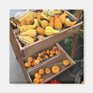 Autumn Decor Magnet