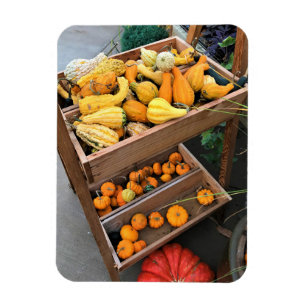 Autumn Decor Magnet