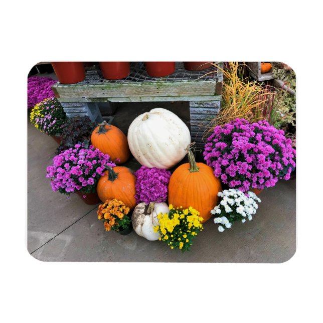 Autumn Decor Magnet (Horizontal)