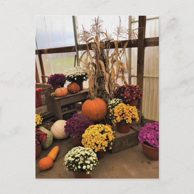 Autumn Decor Postcard (Front)