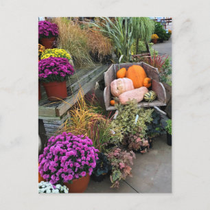 Autumn Decor Postcard