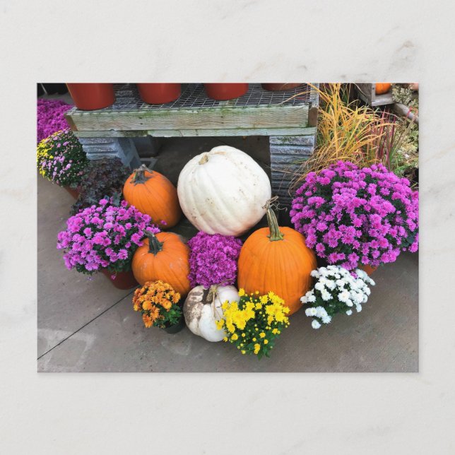 Autumn Decor Postcard (Front)