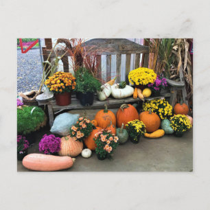 Autumn Decor Postcard