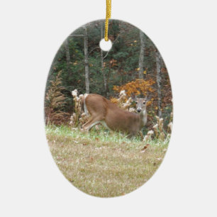 Autumn Deer in Lake Arrowhead GA Ceramic Tree Decoration