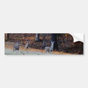 Autumn Deer in the distance Bumper Sticker